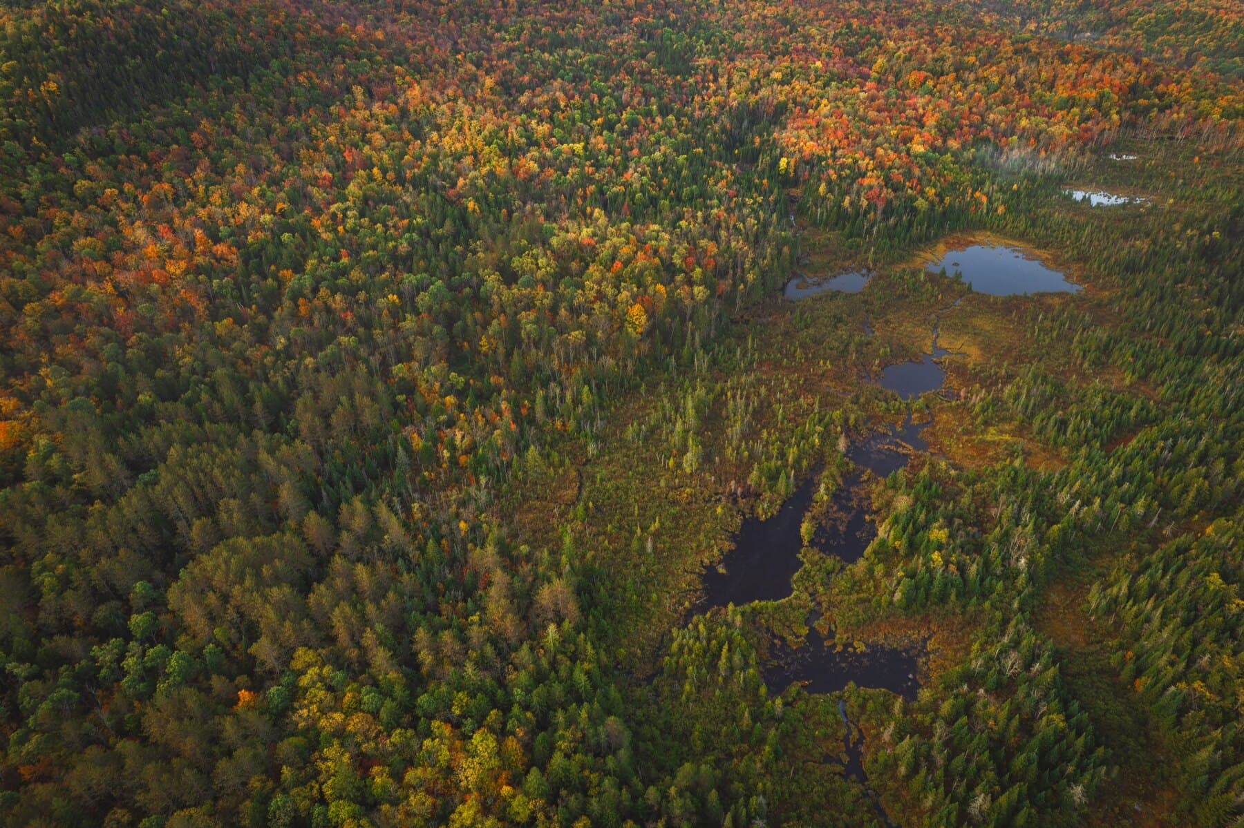 Early Adirondack wilderness frontier history