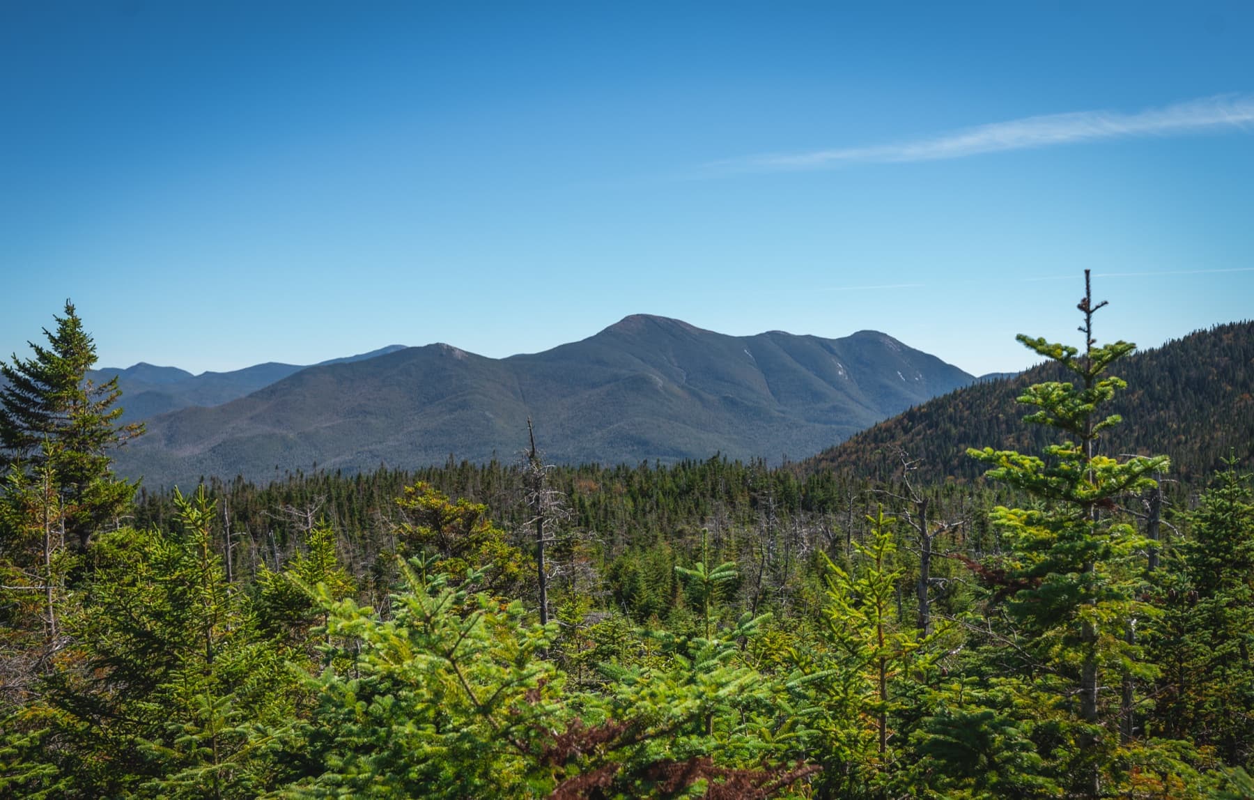 Modern Adirondack stewardship and Forever Wild inheritance