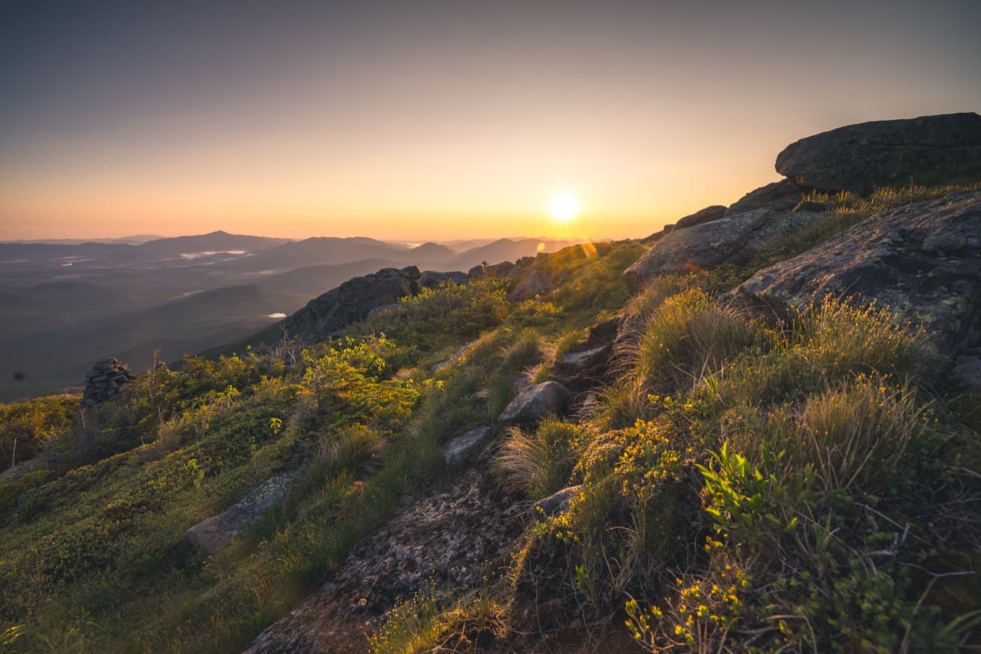 Alpine vegetation jump card image