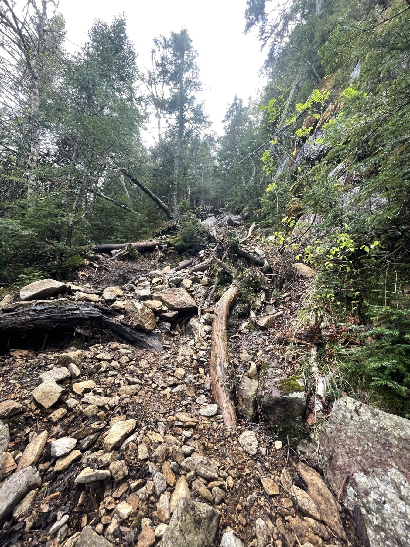 Dix via Round Pond steep section image placeholder
