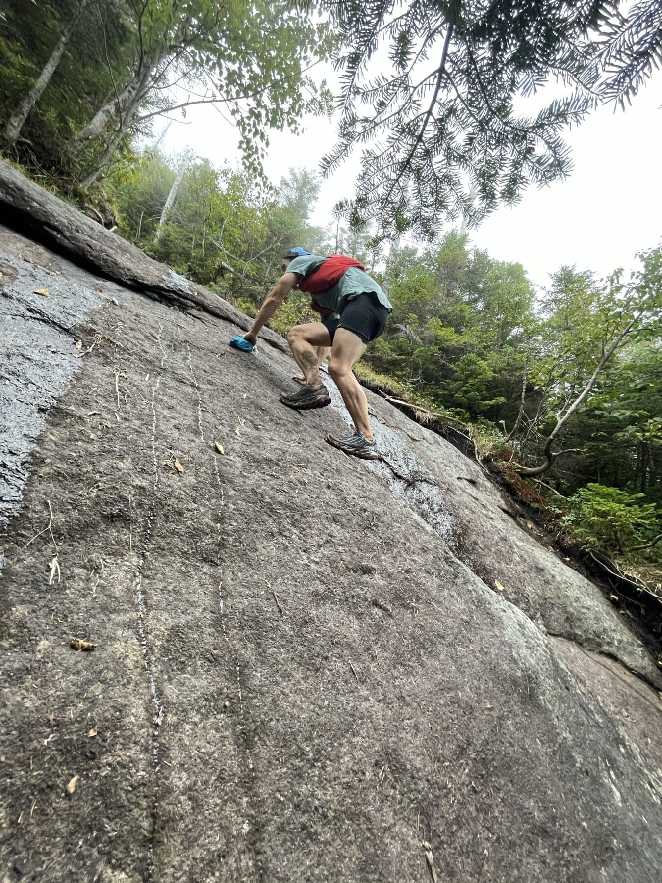Haystack from Panther Gorge steep section image placeholder