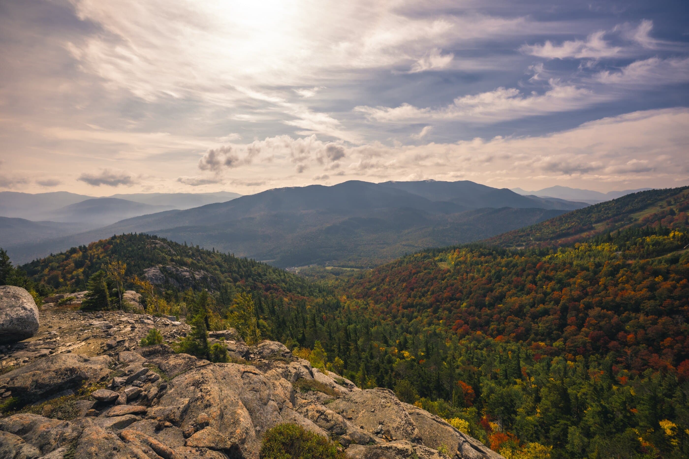Bear Den Whiteface image
