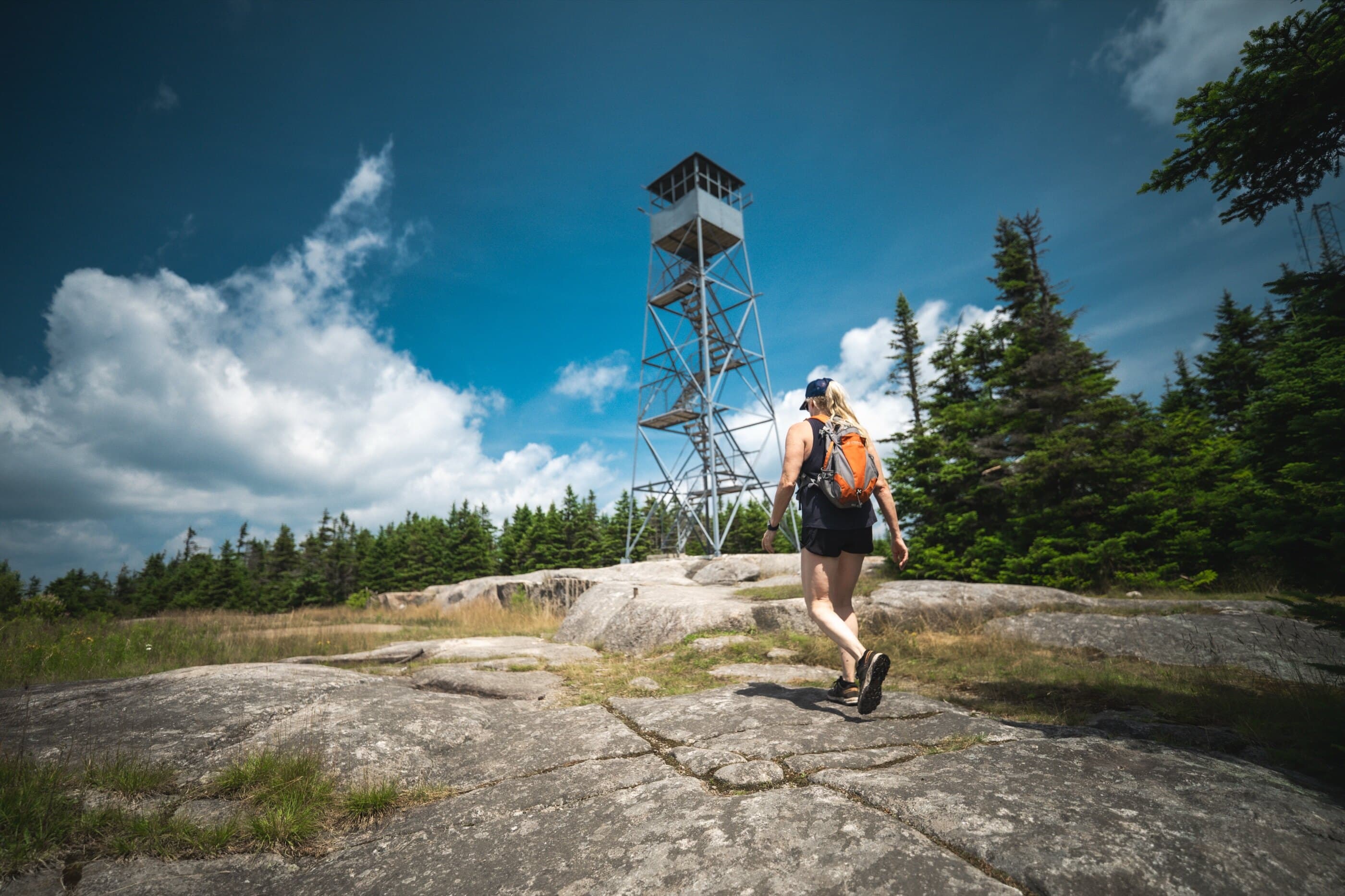 Blue Mountain Fire Tower image