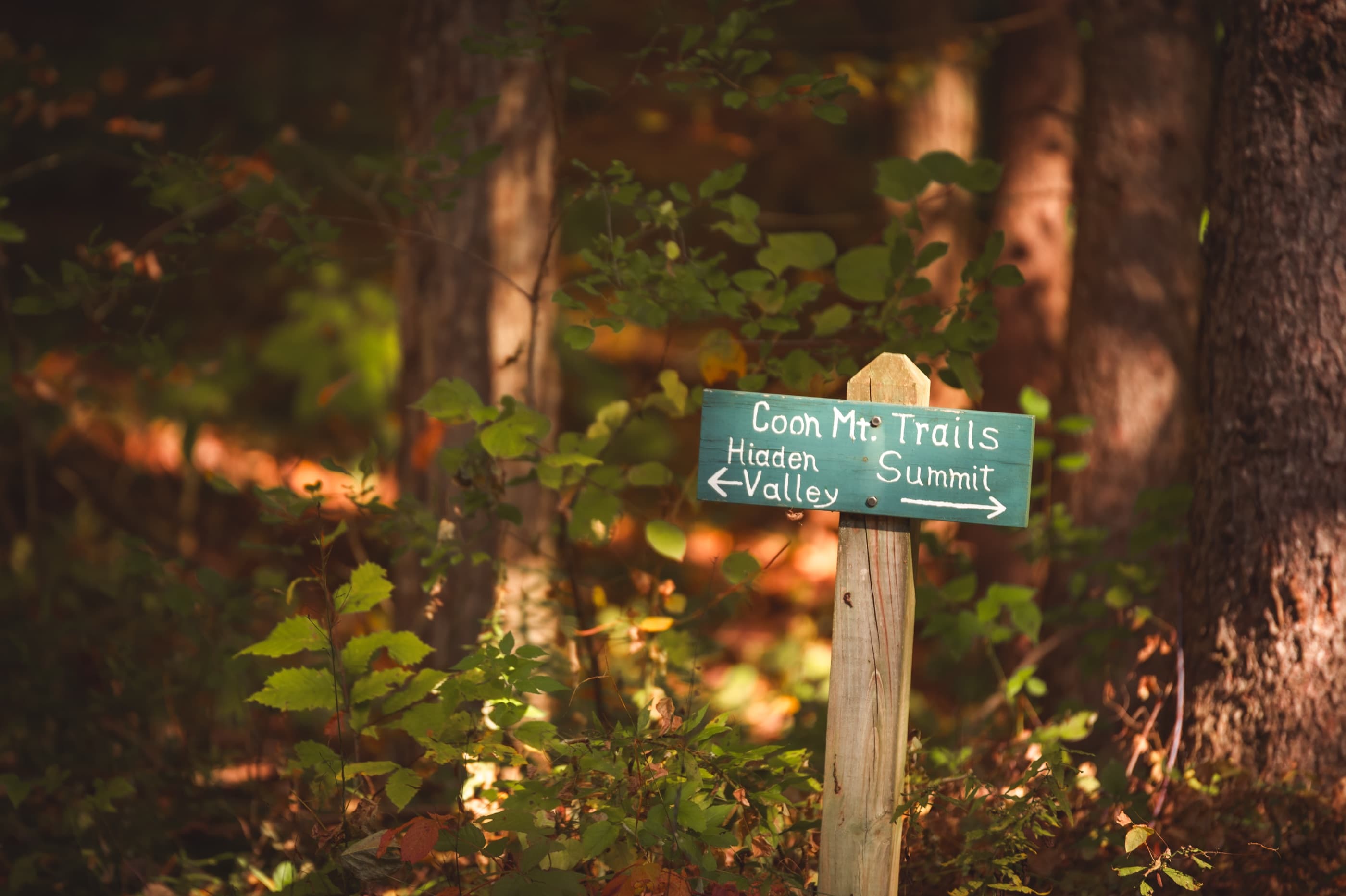 Coon Mountain scenic background