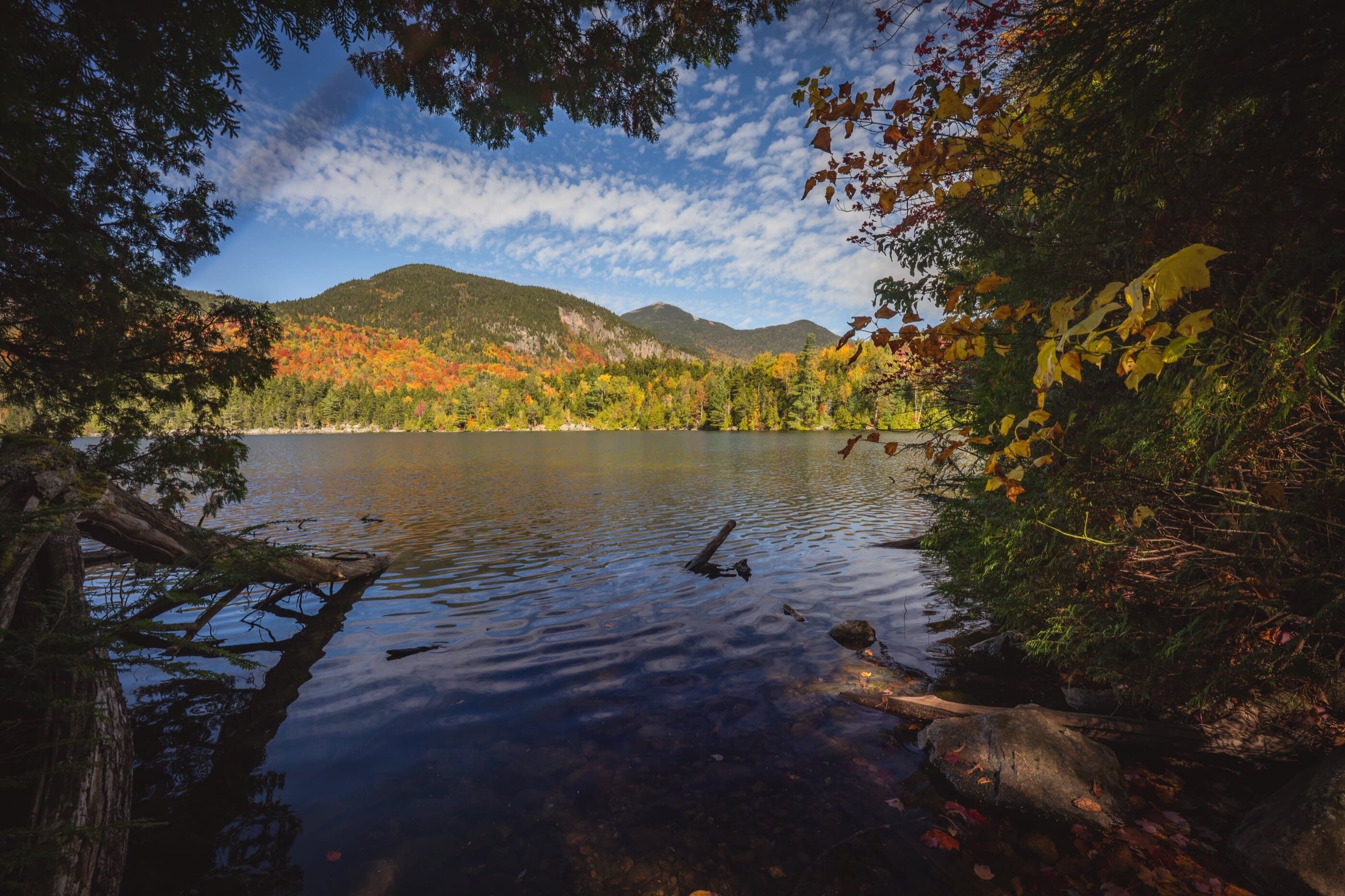 Copperas Pond scenic background