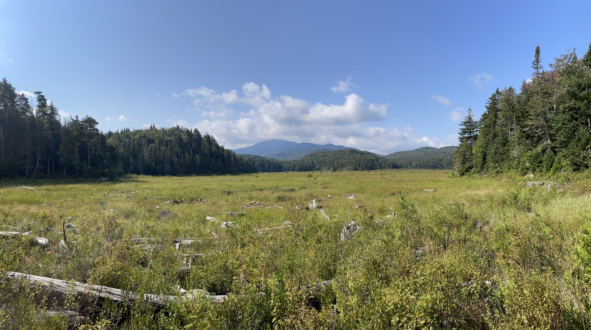 Duck Hole scenic background