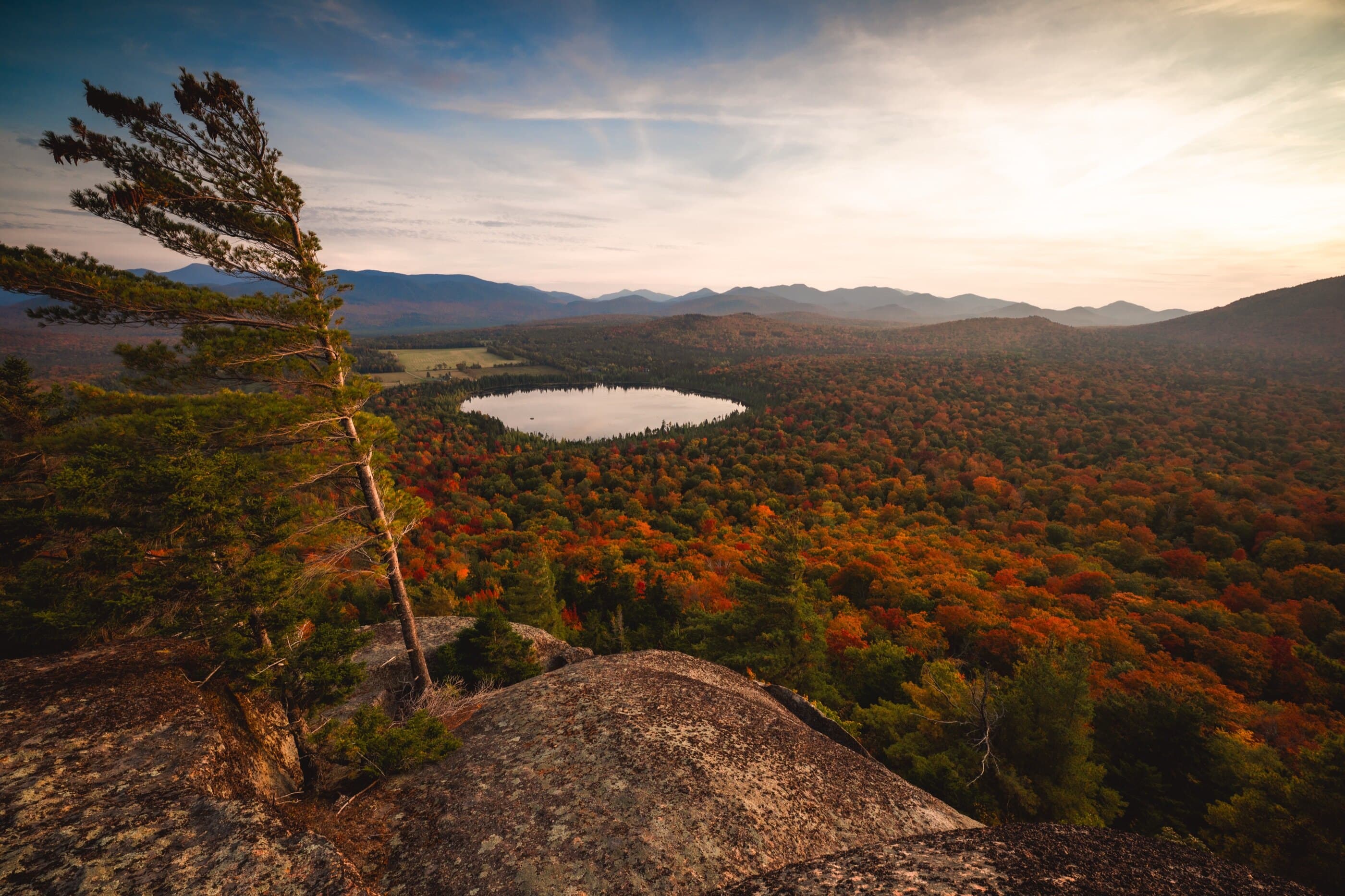 Little Seymour scenic background