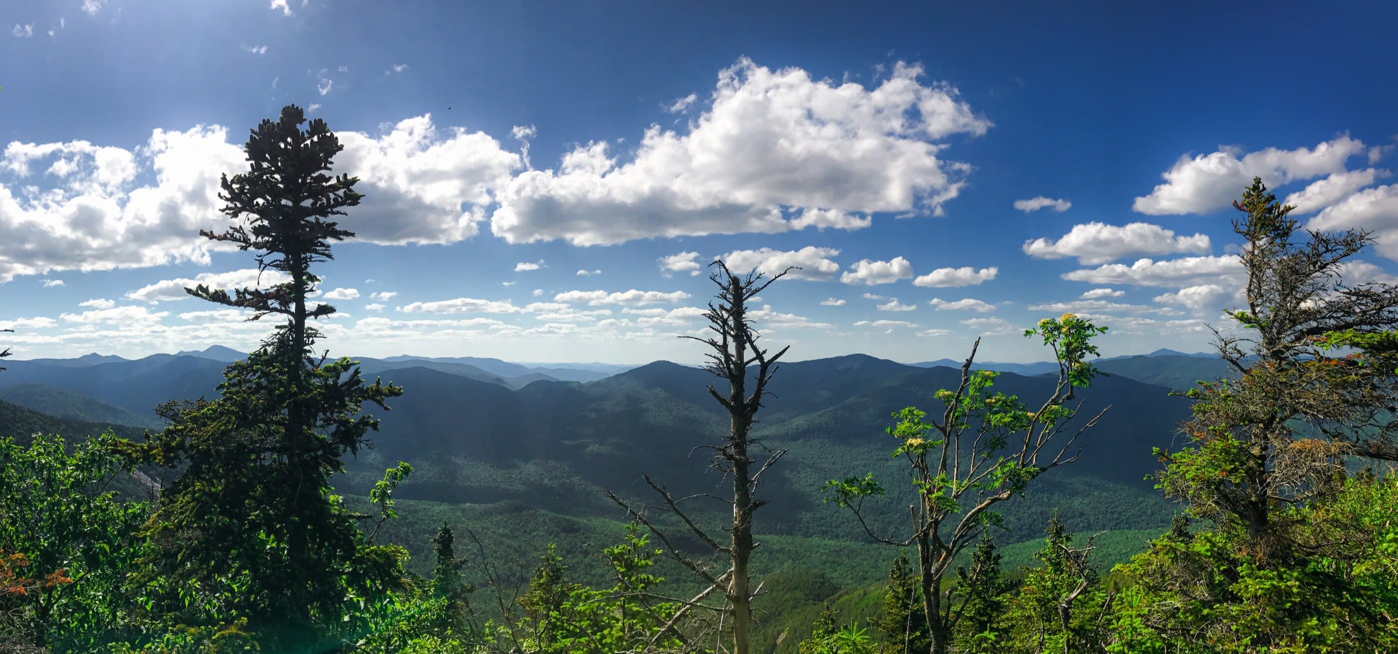 Lower Wolfjaw Mountain scenic background