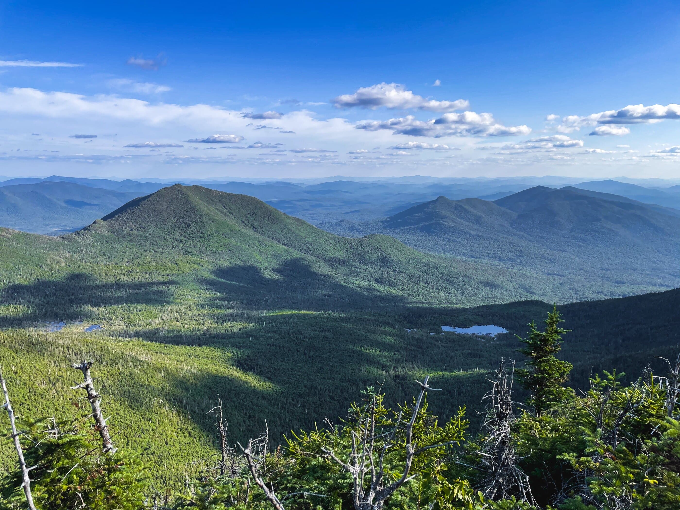 Mount Redfield scenic background