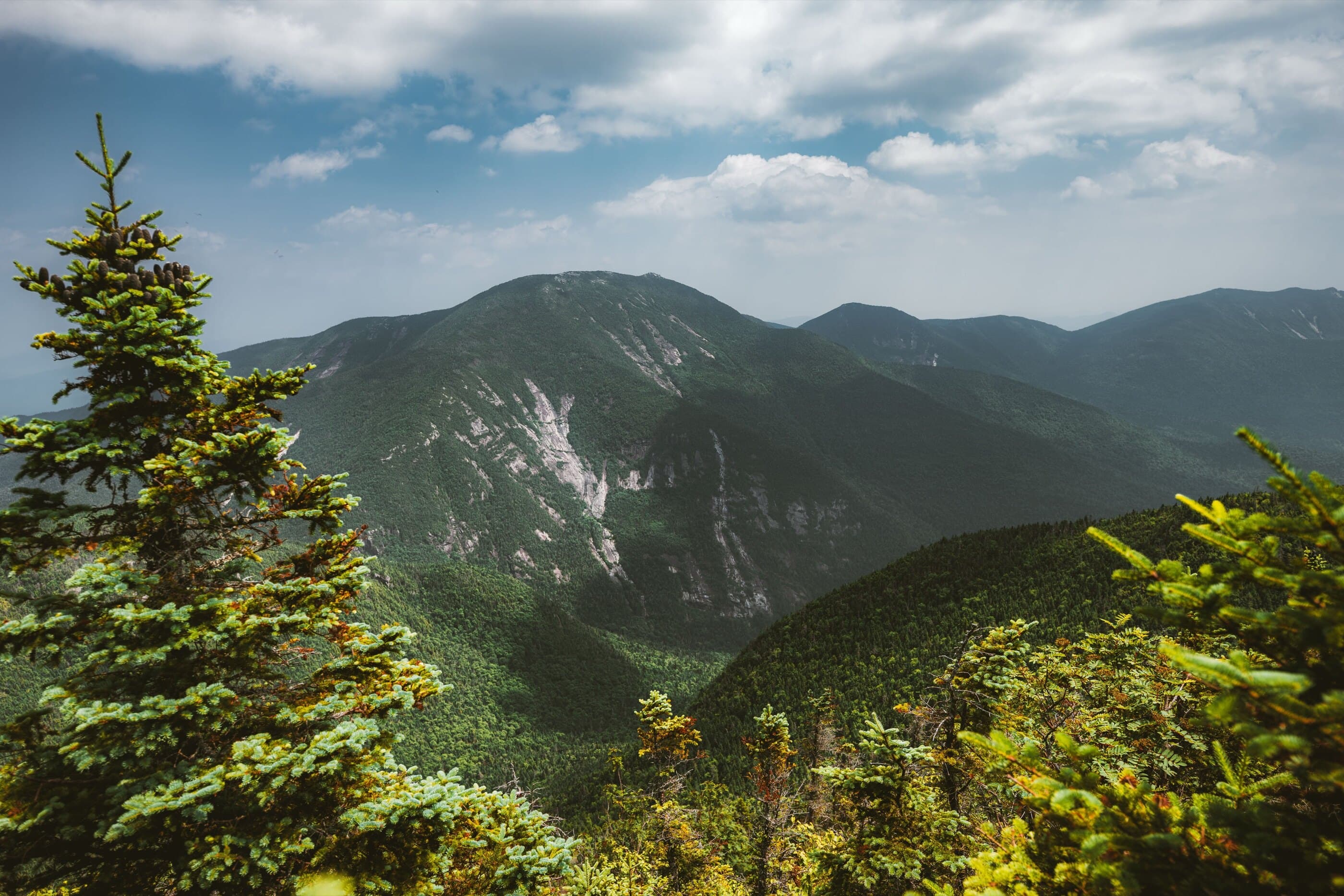 Nippletop Mountain scenic background