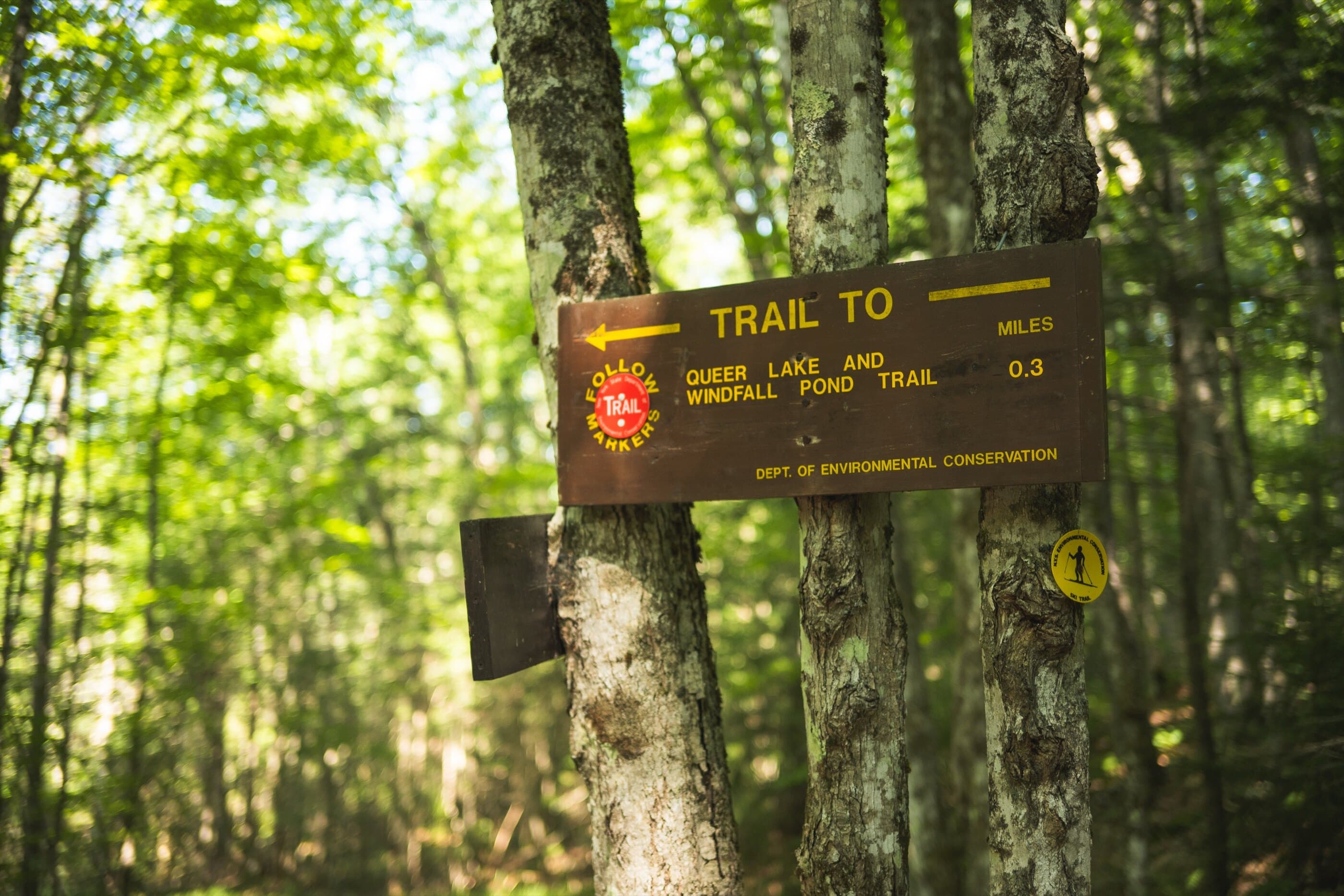 Queer Lake and Windfall Pond Trail scenic background