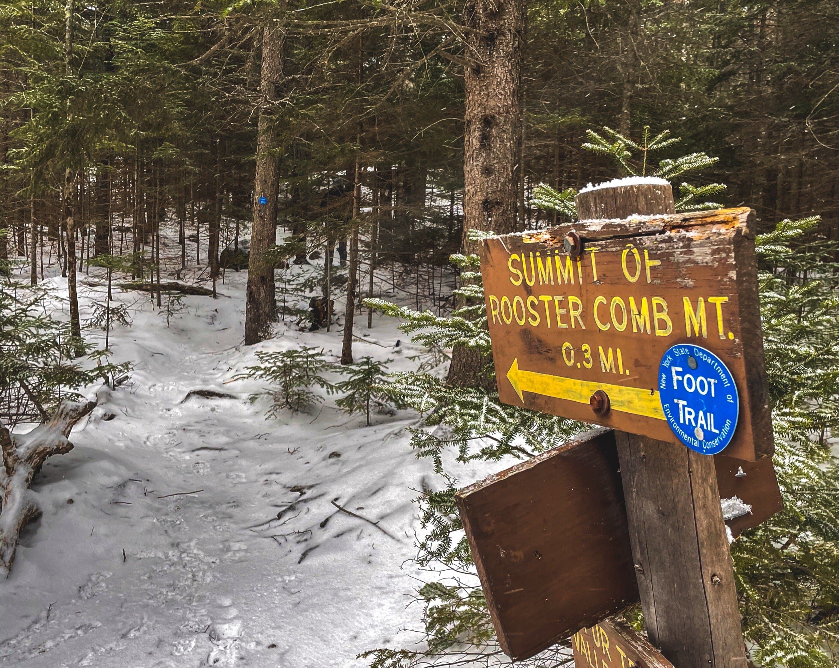 Roostercomb scenic background