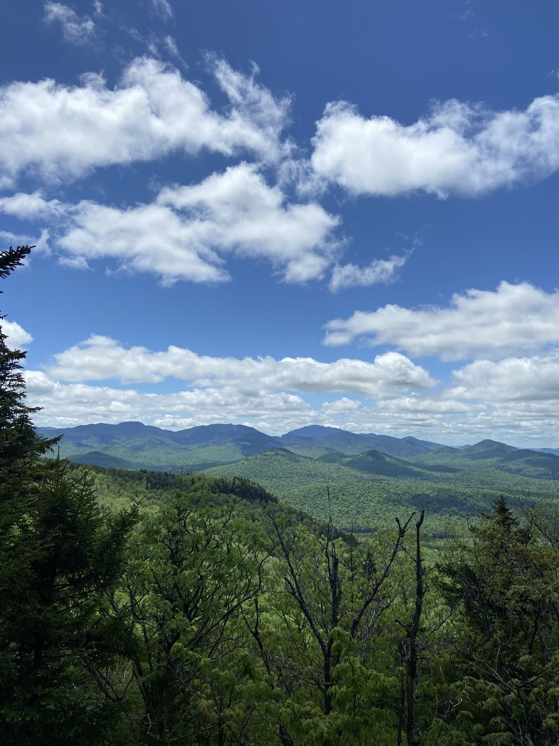 Scarface Mountain scenic background