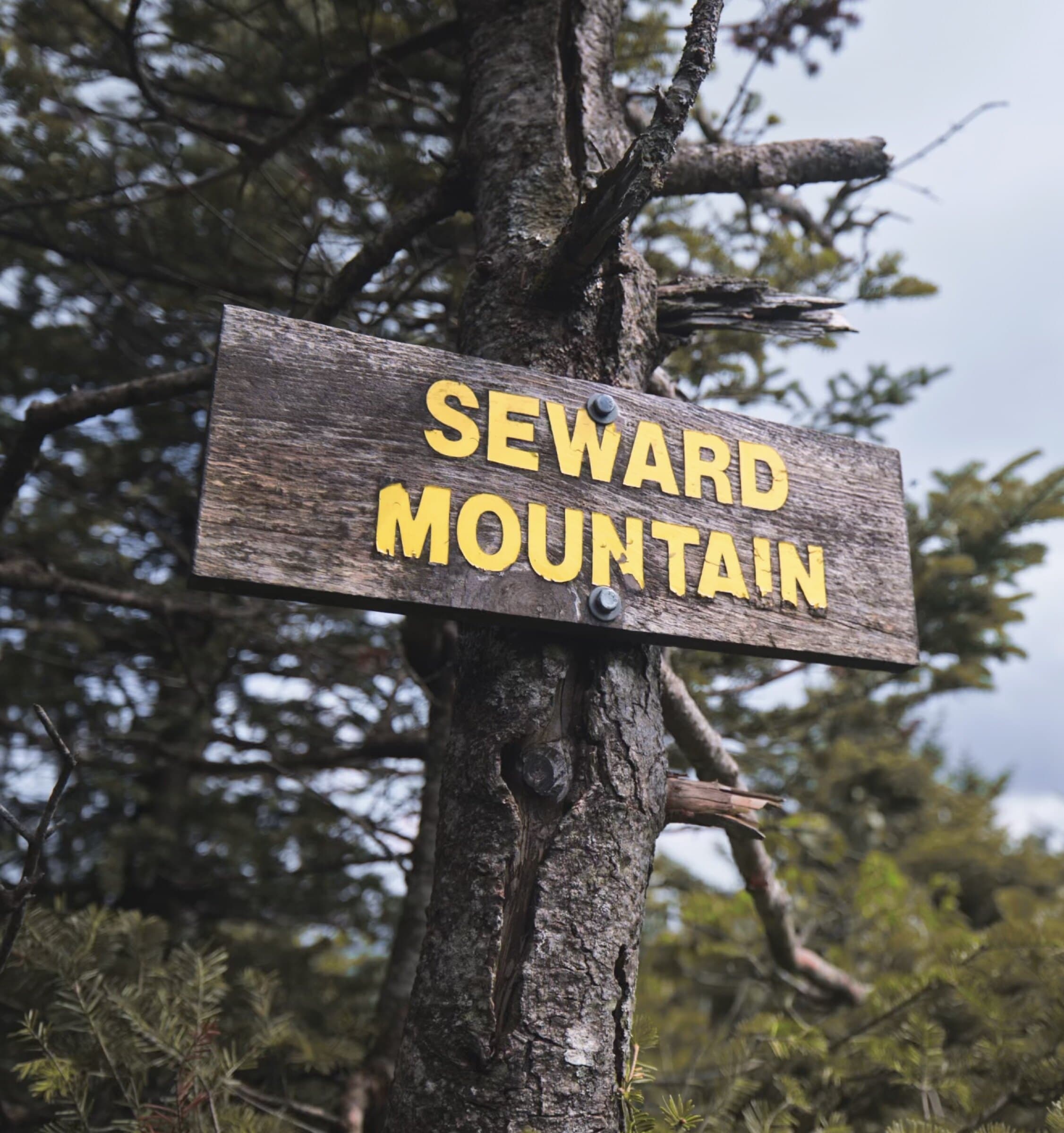 Seward Mountain scenic background