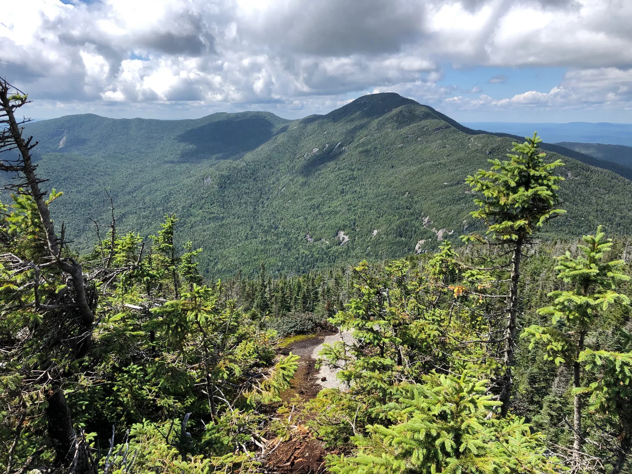 Seymour Mountain scenic background