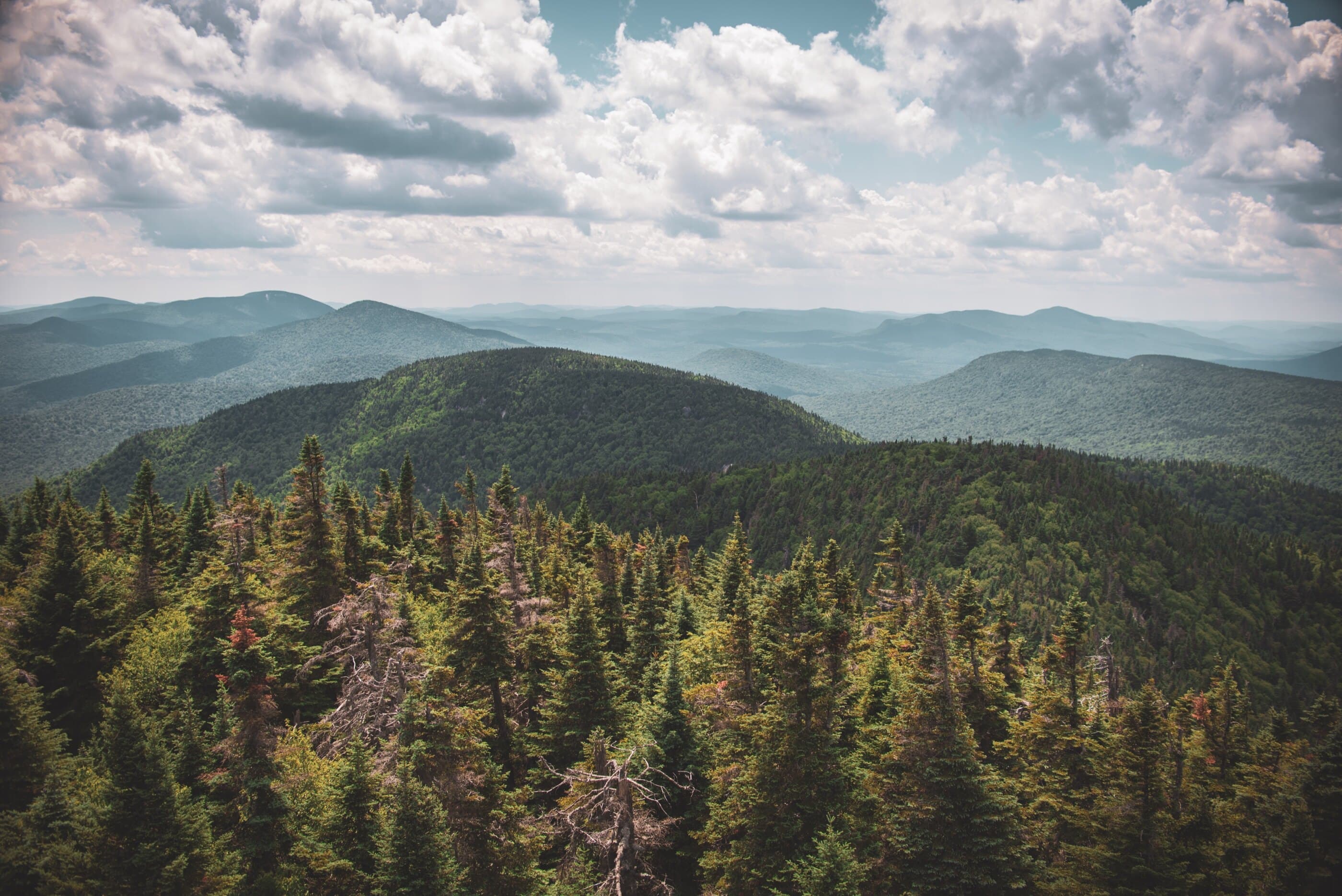 Snowy Mountain Fire Tower image