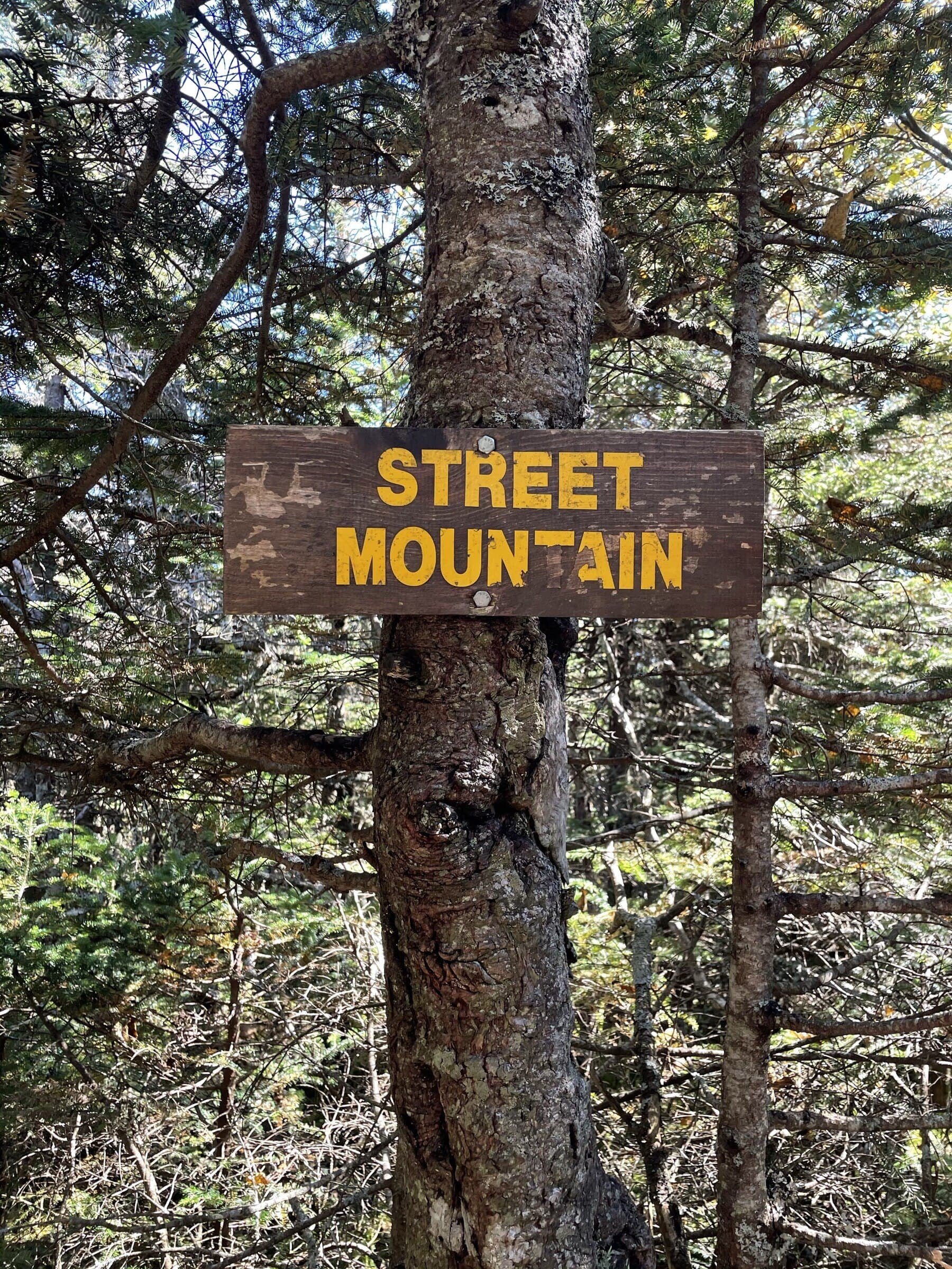 Street Mountain scenic background