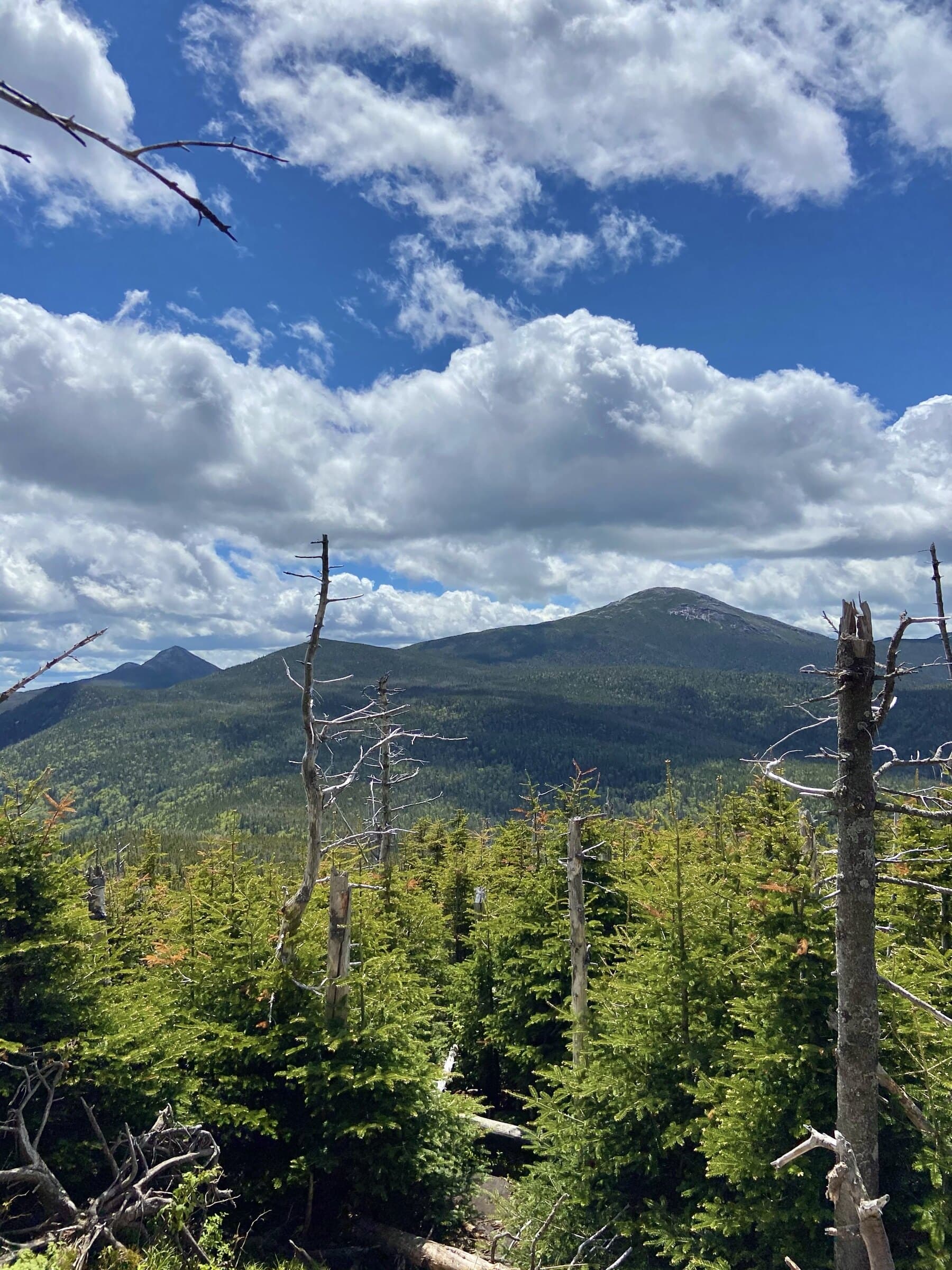 Tabletop Mountain scenic background