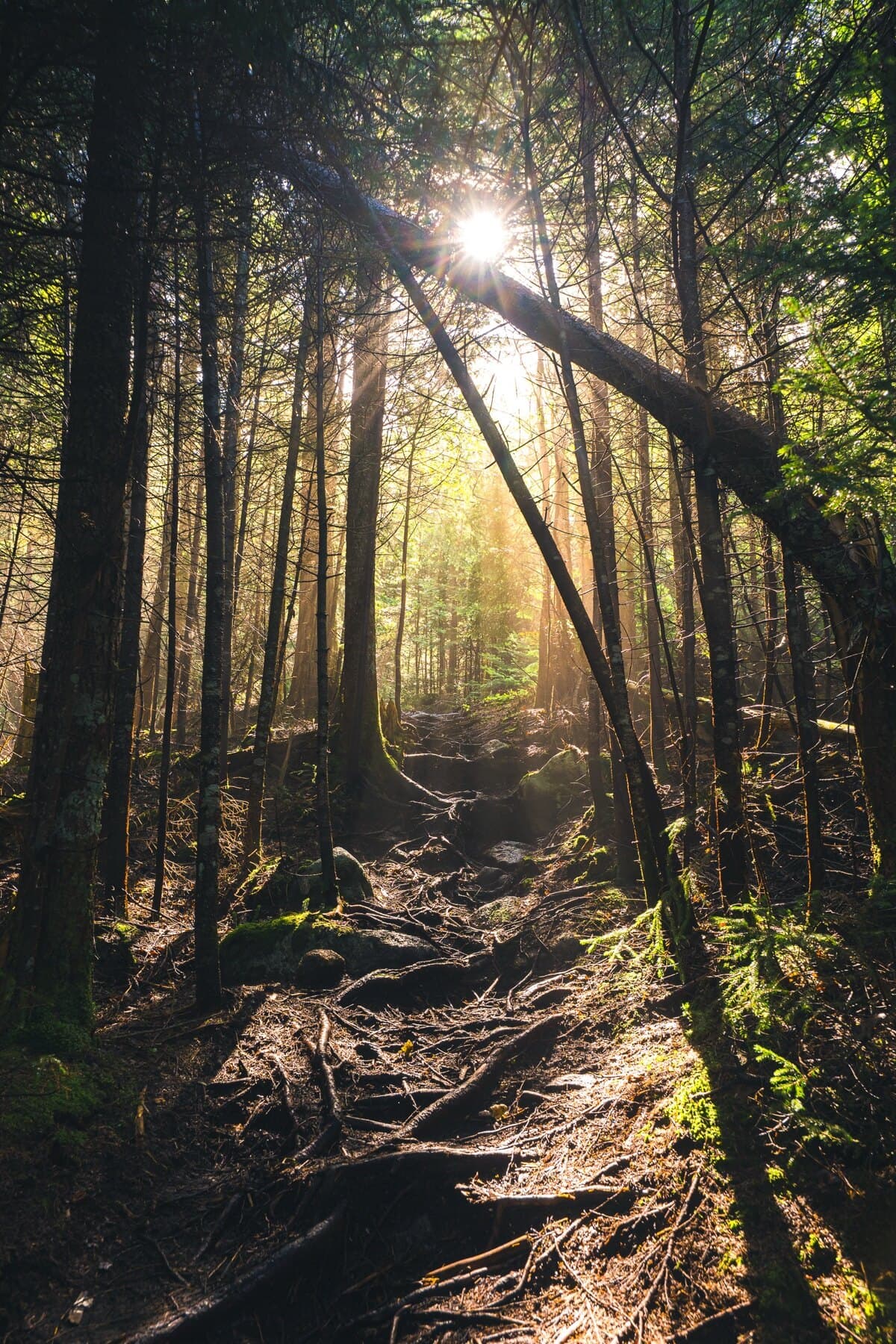 Rules regulations and trail etiquette graphic