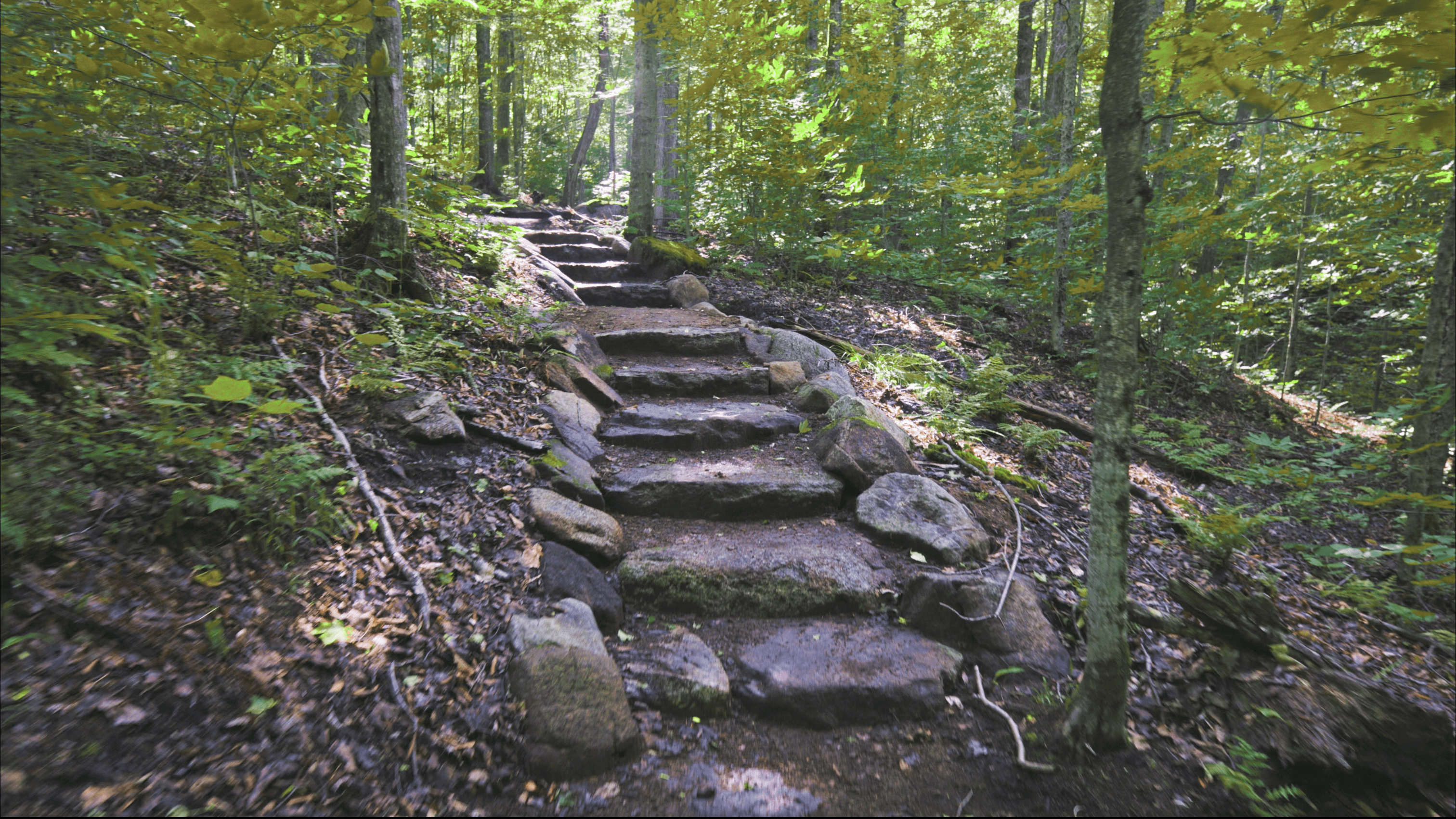 Future Cascade route map from Mount Van Hoevenberg