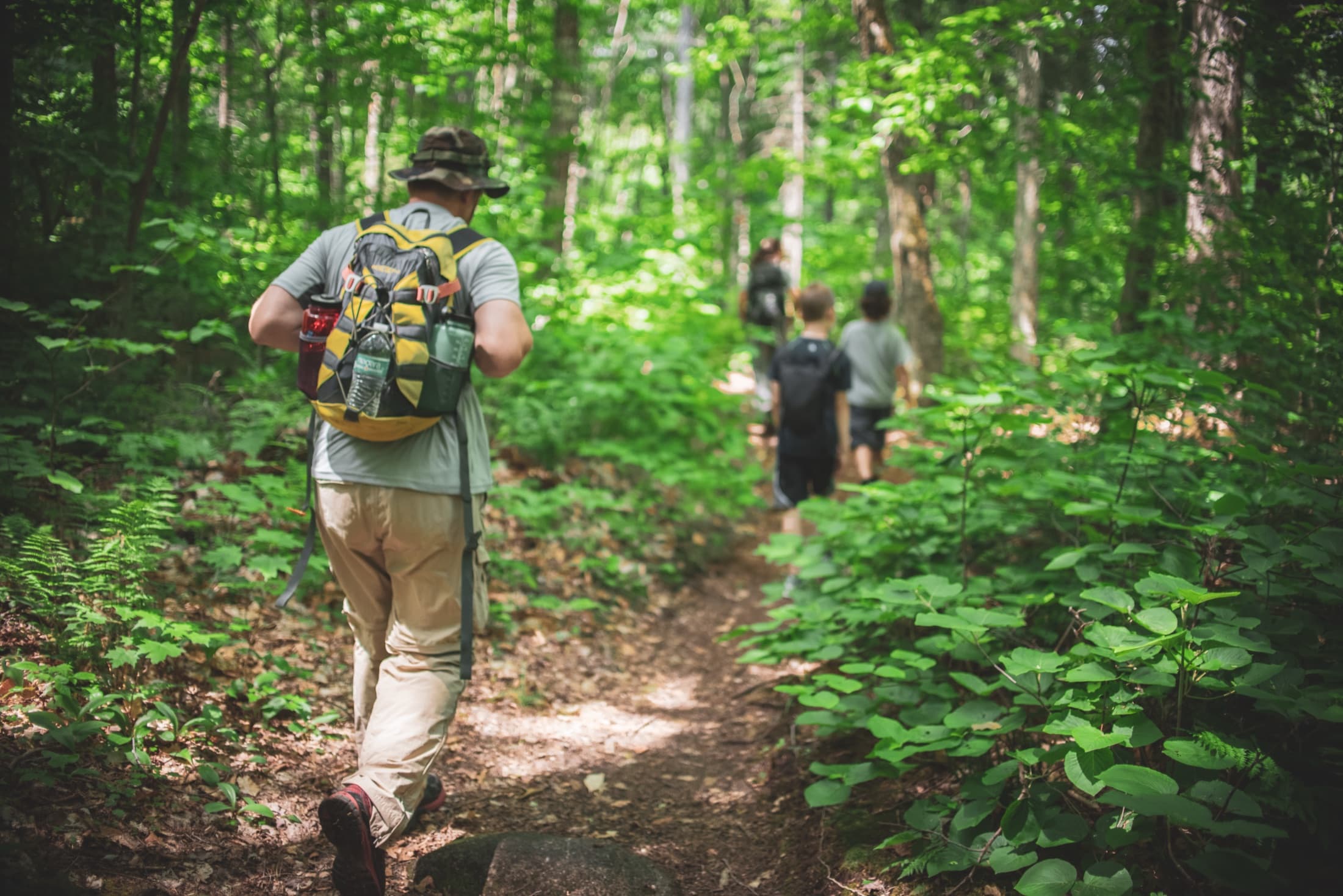 Beginner friendly Adirondack hiking category image