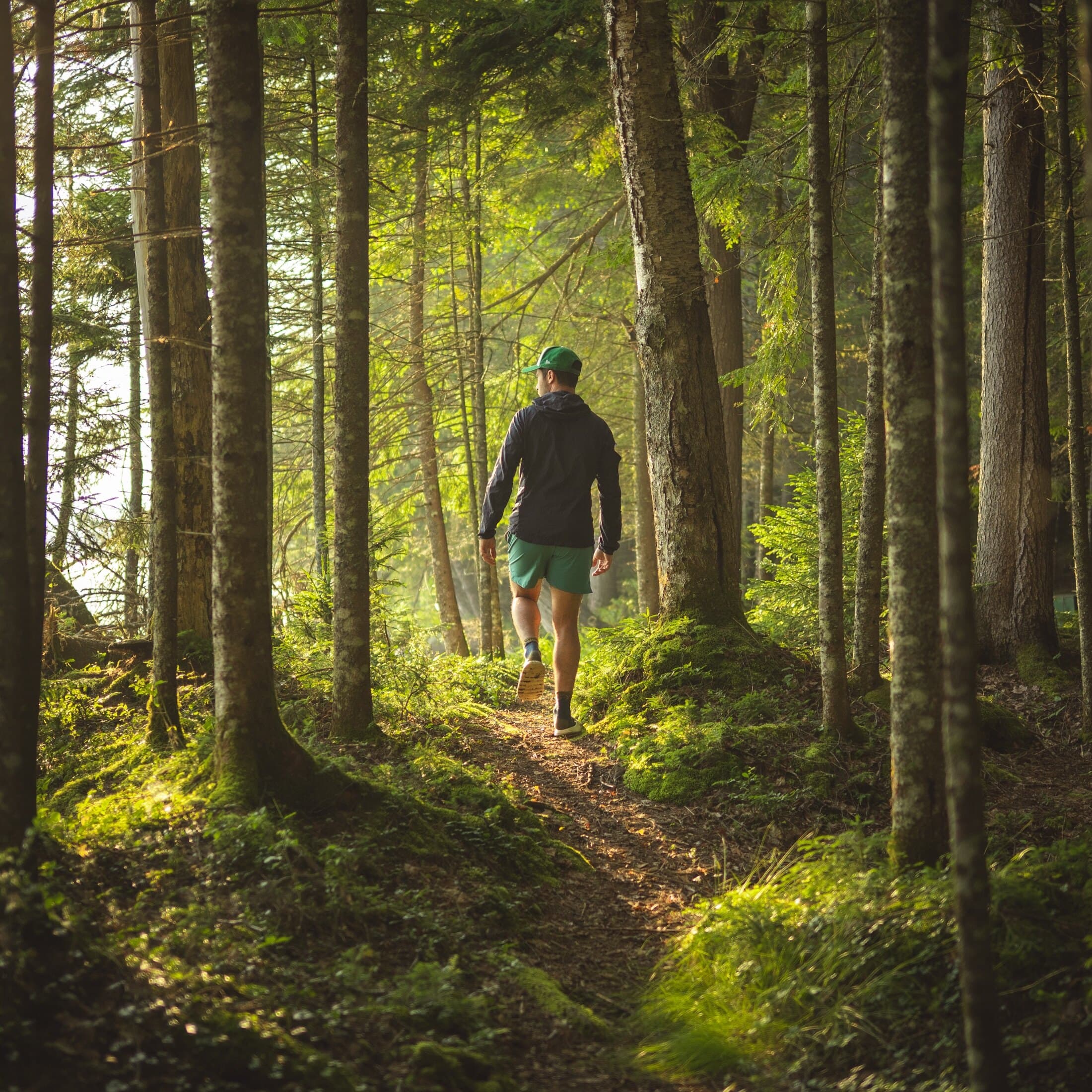 Lesser traveled Adirondack hiking category image