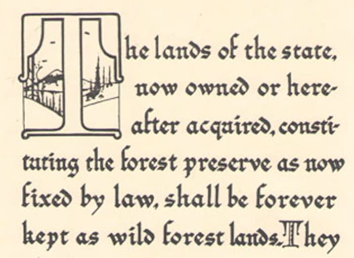 Article XIV Forever Wild constitutional protection