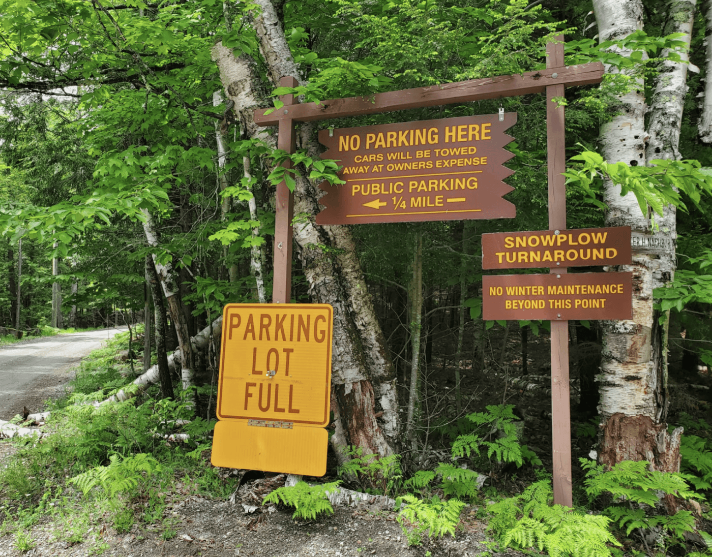 Parking and access resource graphic